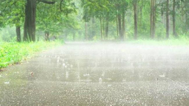 Vin ploile, iar vremea se răcorește