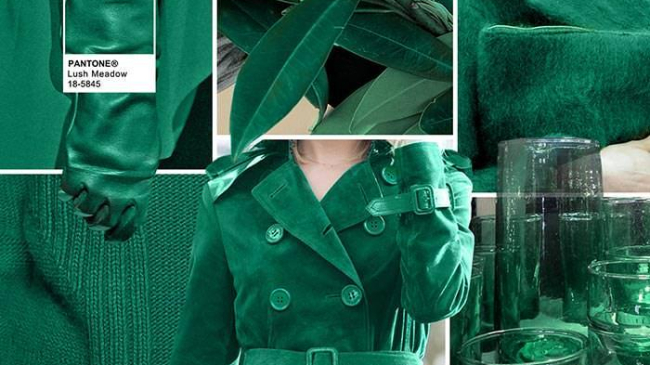 Модные цвета осень-зима 2016-2017: самые актуальные оттенки гардероба