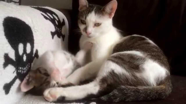 Părinții ca model de urmat!