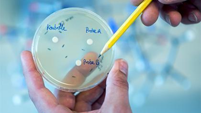 Определена главная опасность антибиотиков