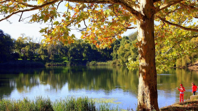 В Молдове спадет жара