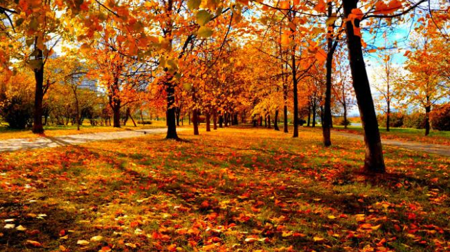 Vremea se încălzește ușor