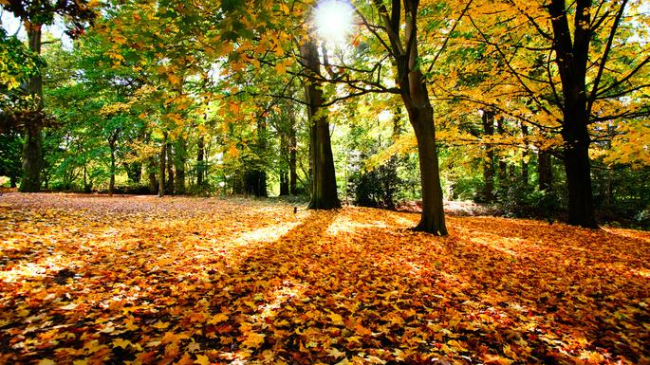 Temperaturi de pînă la 20˚C, prognozate pentru miercuri