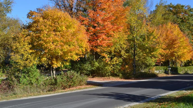 Astăzi vor fi temperaturi primăvăratice