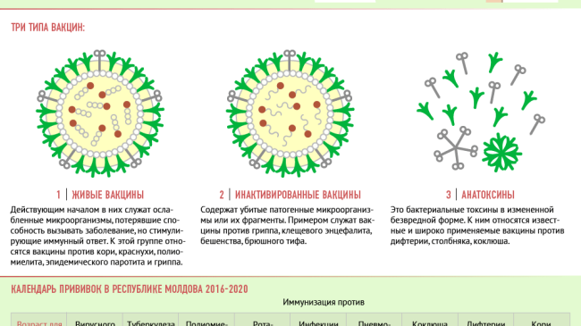 Calendarul vaccinării în Moldova (Infografica)