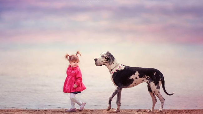 Маленькие дети и их большие собаки