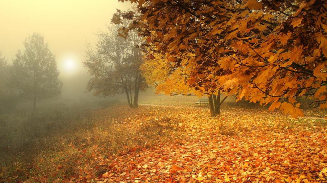 Столбики термометров опустятся до 0°C