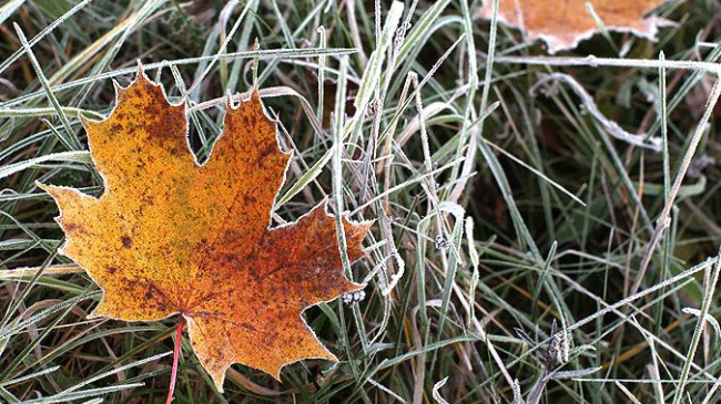 Meteorologii prognozează înghețuri cu intensitatea de pînă la -3˚C