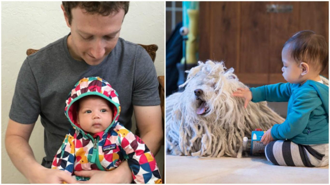 Дочка Цукерберга сказала первое слово, и это не «мама»