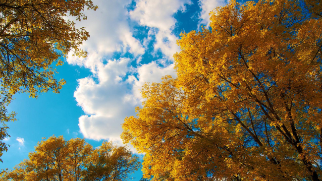 Температура воздуха в Молдове продолжает снижаться