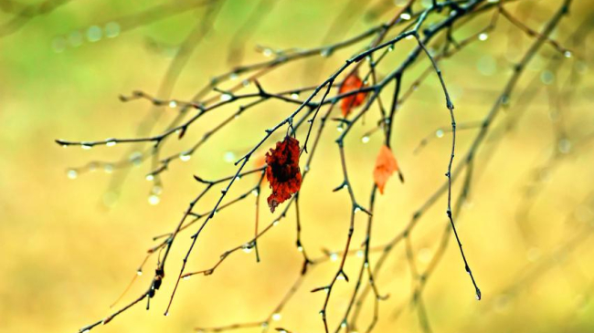 Meteorologii prognozează vreme rece și ploi slabe