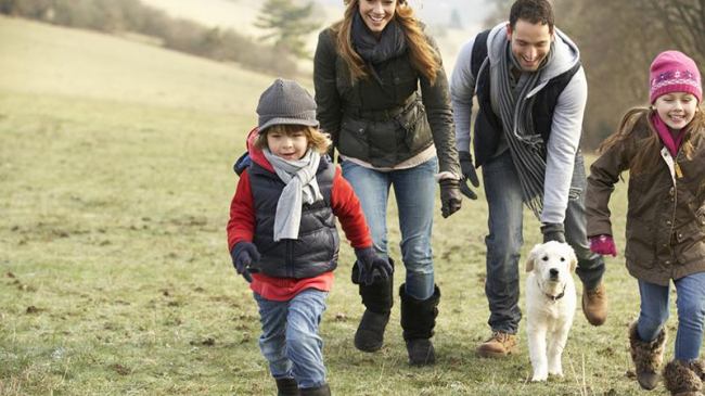 Собаки заменяют целую гору лекарств, спортзал и походы к психологу