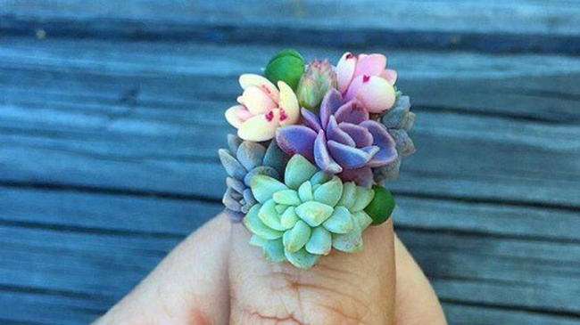 Новый бьюти-тренд — живые цветы на ногтях