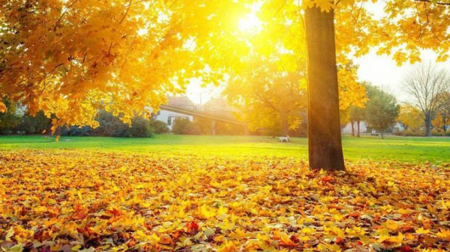 Începutul de săptămînă aduce temperaturi înalte