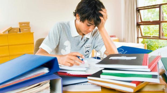 В Испании призывают бойкотировать домашние задания