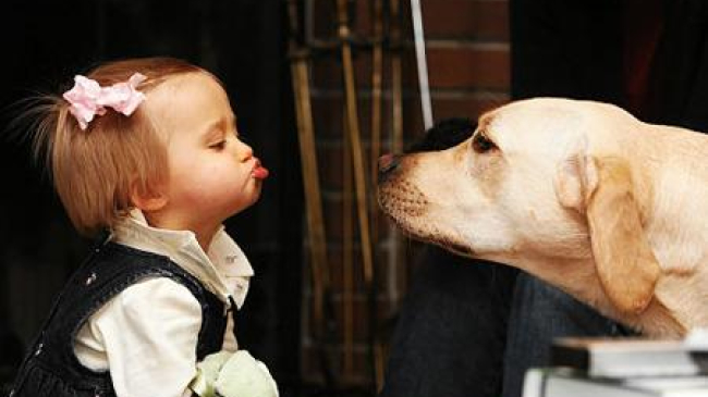 Почему собаке нельзя облизывать ребенка
