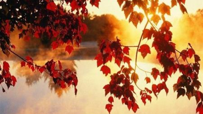 Temperaturile încep să crească