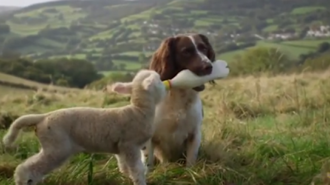 Master-class de bunătate sau copii străini nu există