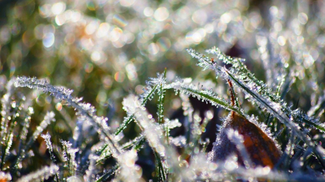 Сегодня температура воздуха будет на три градуса ниже нормы