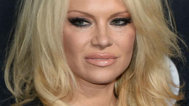 Fiul Pamelei Anderson, calca pe urmele mamei sale. Baiat sexy si rau la 19 ani