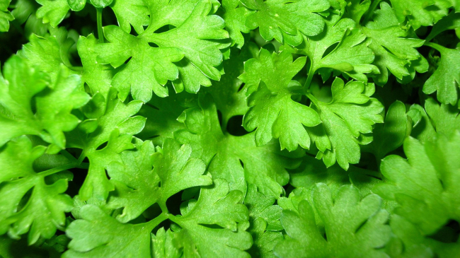 Scăpați de lichidele în plus din organism