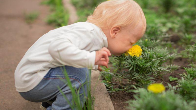 До пяти лет запахи не влияют на поведение детей