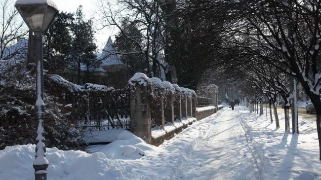 Cod Galben de răcire bruscă a vremii