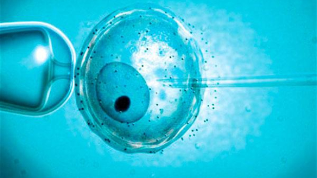 Pentru cine în Moldova va fi gratuită fertilizarea in vitro