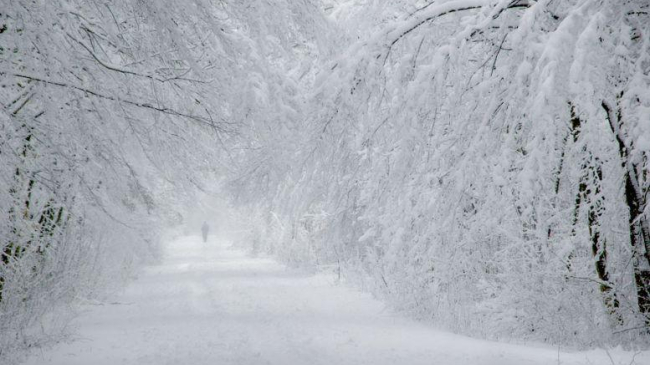 Codul galben intră în vigoare: se așteaptă ninsori puternice