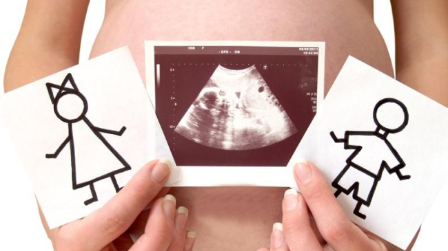 Пол ребенка можно будет определить в день зачатия