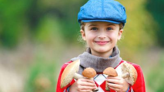 Ciupercile în alimentația copiilor
