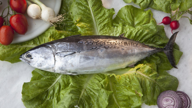 Названы сорта рыбы, которые нельзя есть беременным