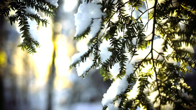 Valorile termice ale aerului se mențin scăzute