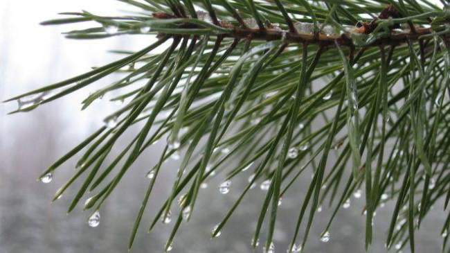 Vremea începe a se încălzi