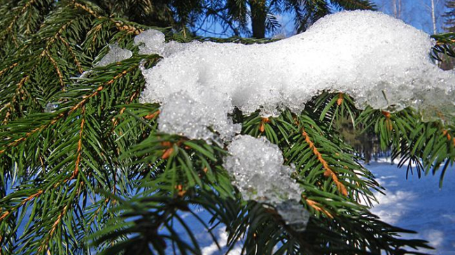 Meteorologii prognozează pentru azi temperaturi de pînă la 7˚C