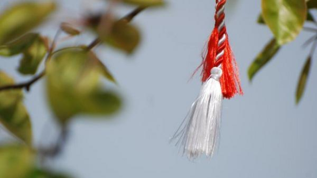 В центре столицы стартовала продажа мэрцишоров