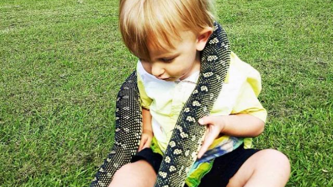 Двухлетний ловец змей покорил Сеть