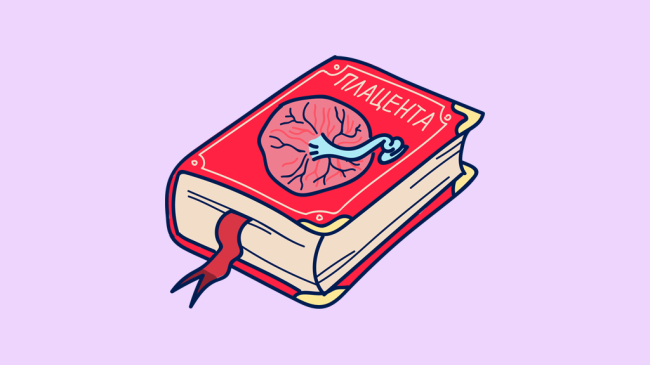 Что такое плацента и зачем она нужна: девять удивительных фактов