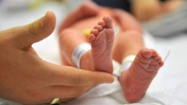 Британия всерьез занялась темой "детей от трех родителей"