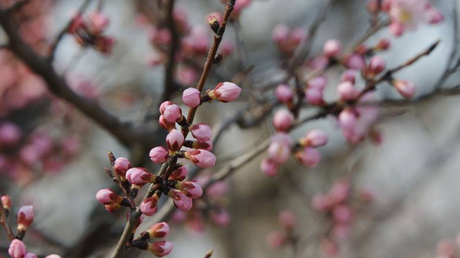Vremea din ce în ce mai caldă