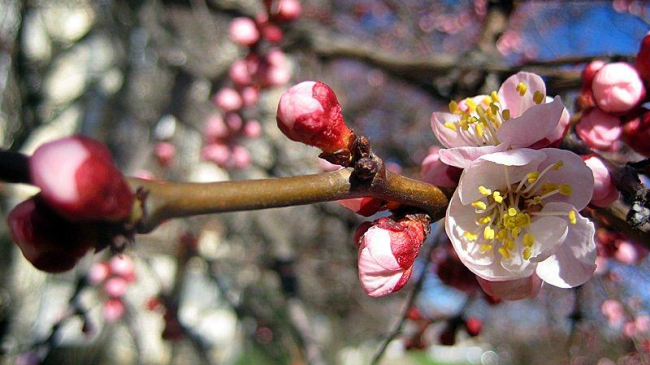 Хорошая погода во всей стране