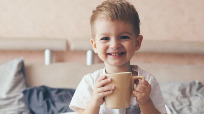 К чему готовиться родителям двухлетки