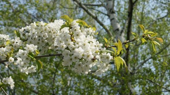 Теплая погода во всей стране