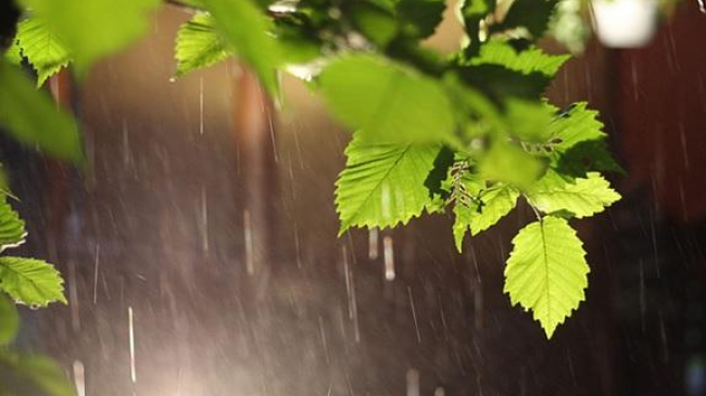 Ночью пойдут дожди и похолодает днем