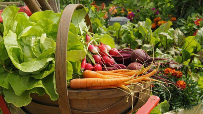 Primele vitamine: cum să evităm intoxicațiile cu legumele, fructele și verdețurile noi