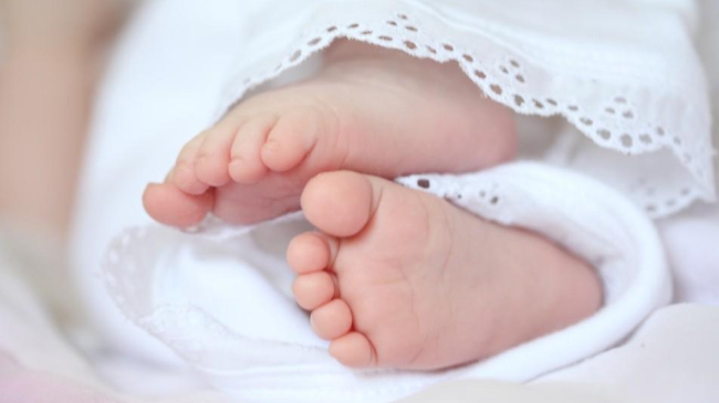 В пасхальную ночь в Кишиневе на свет появились семеро малышей