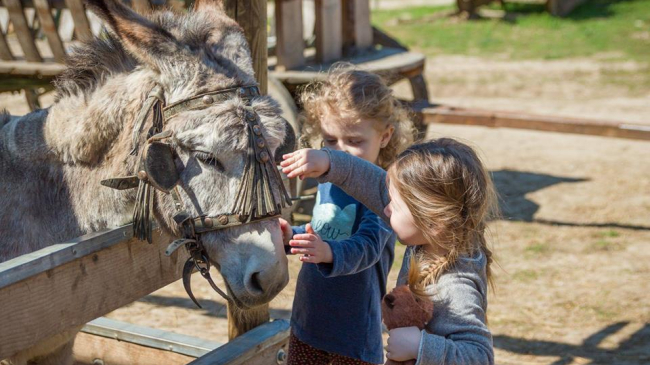 Pe 1 mai, descoperă Moldova cu cei mici!