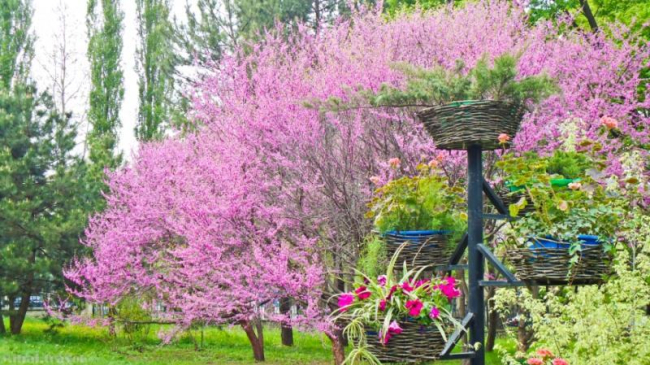 Прогноз погоды на 2 мая