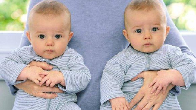 Ученые выяснили, как родить близнецов