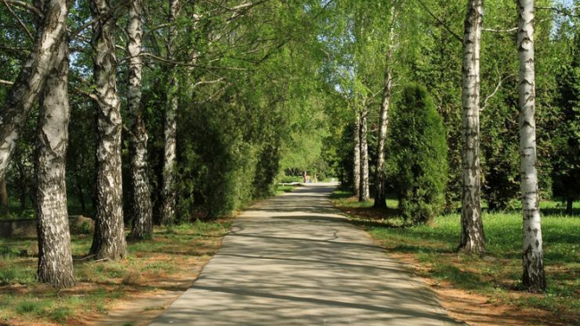 Прогноз погоды на 10 мая